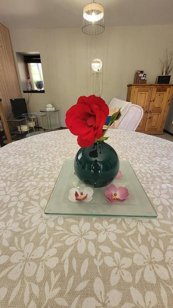 Gîte pour 3 personnes, avec terrasse et jardin ainsi que jacuzzi et sauna dans Saint-Genix-les-Villages - 3