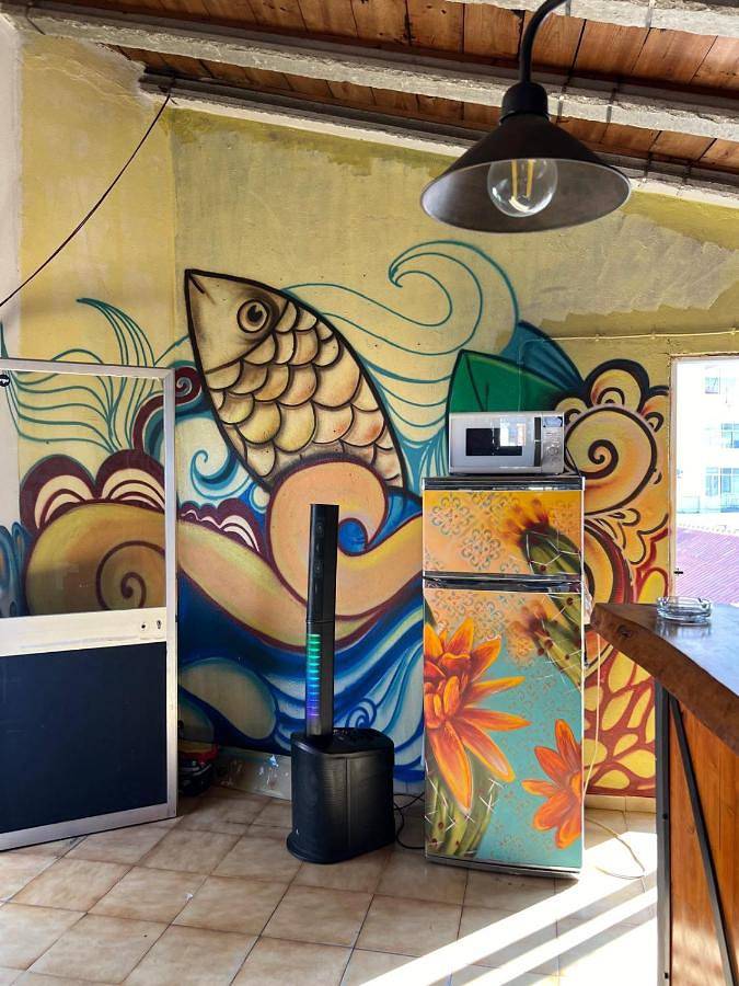 Maison d’hôte pour 2 personnes, avec terrasse, animaux acceptés à Faro - 4