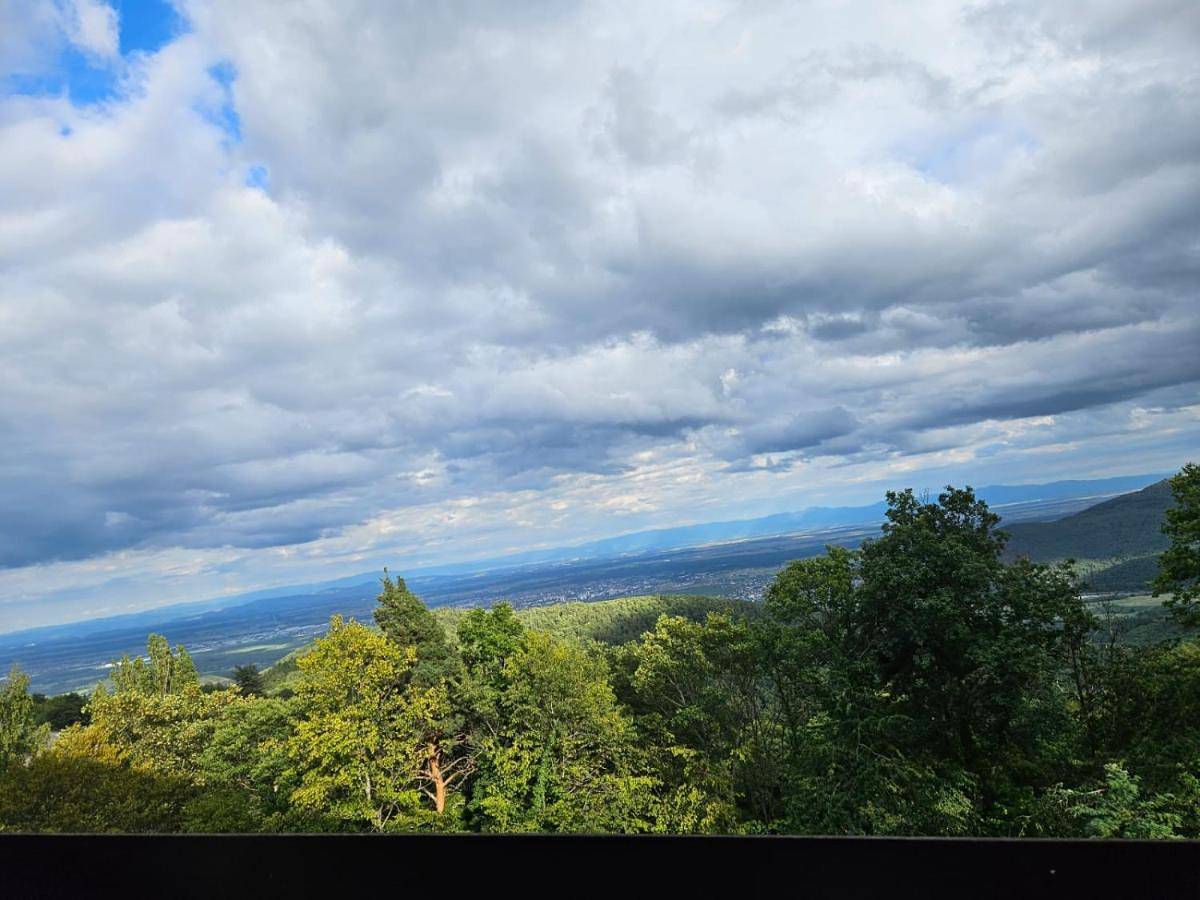 Appartement entier, Le Panorama studio privé avec vue magnifique Turckheim Trois Épis in Trois-Épis, Ammerschwihr