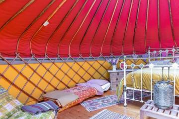 Camping for 2 People in Cornwall, South West England, Photo 3