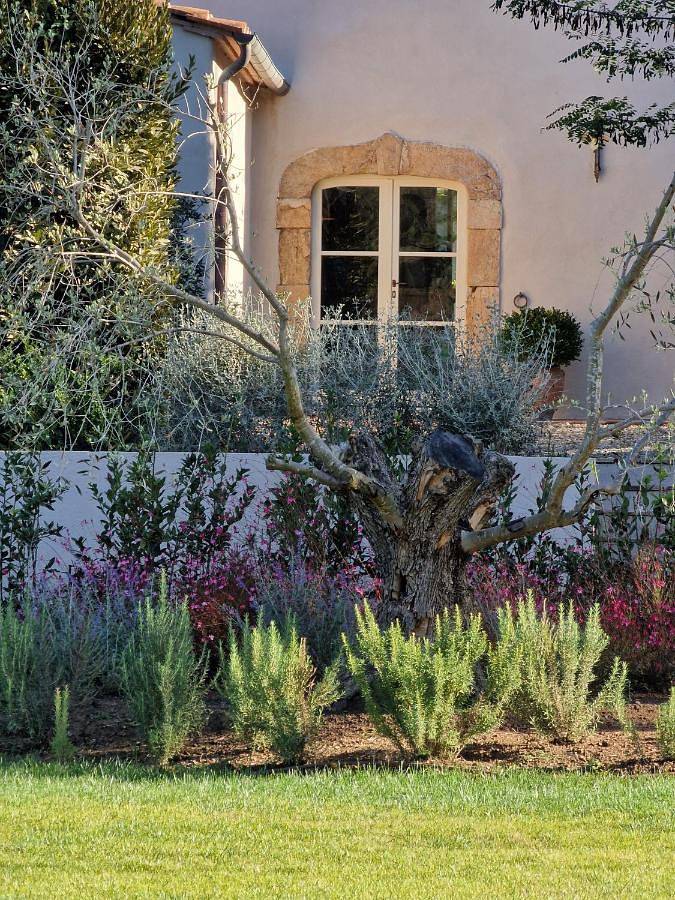 Chambre d’hôte pour 2 personnes, avec piscine et jardin à Portoferraio - 4