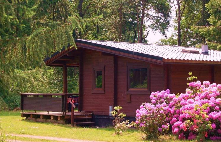 Ferienhaus für 4 Personen, mit Garten und Ausblick in Eschede - 3