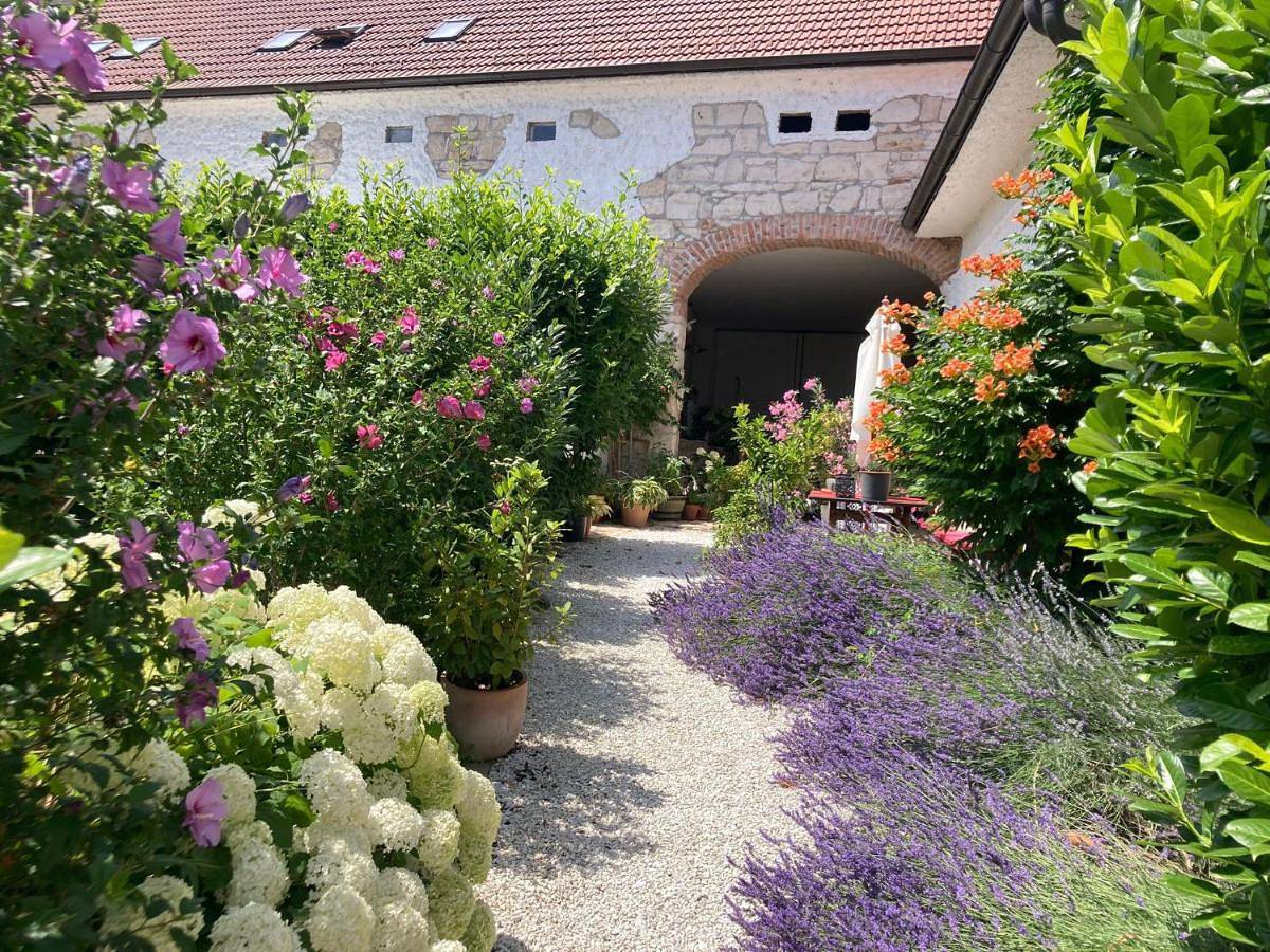 Ganze Wohnung, Haus Diogenes in Mörbisch am See, Leithaberg