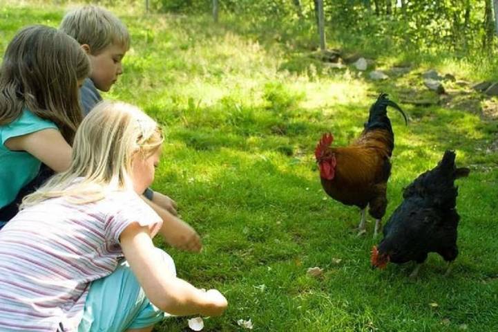 Ferienwohnung für 2 Personen, mit Garten in Schönberg (Bayern) - 3