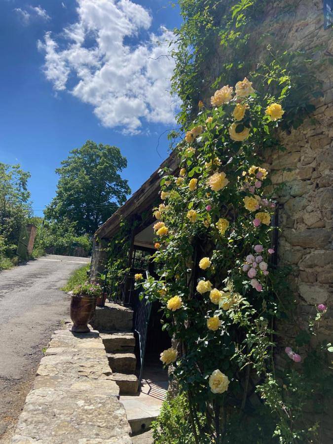 La Frigoule, un gîte au cœur du parc des Cévennes in Générargues, Cevennen
