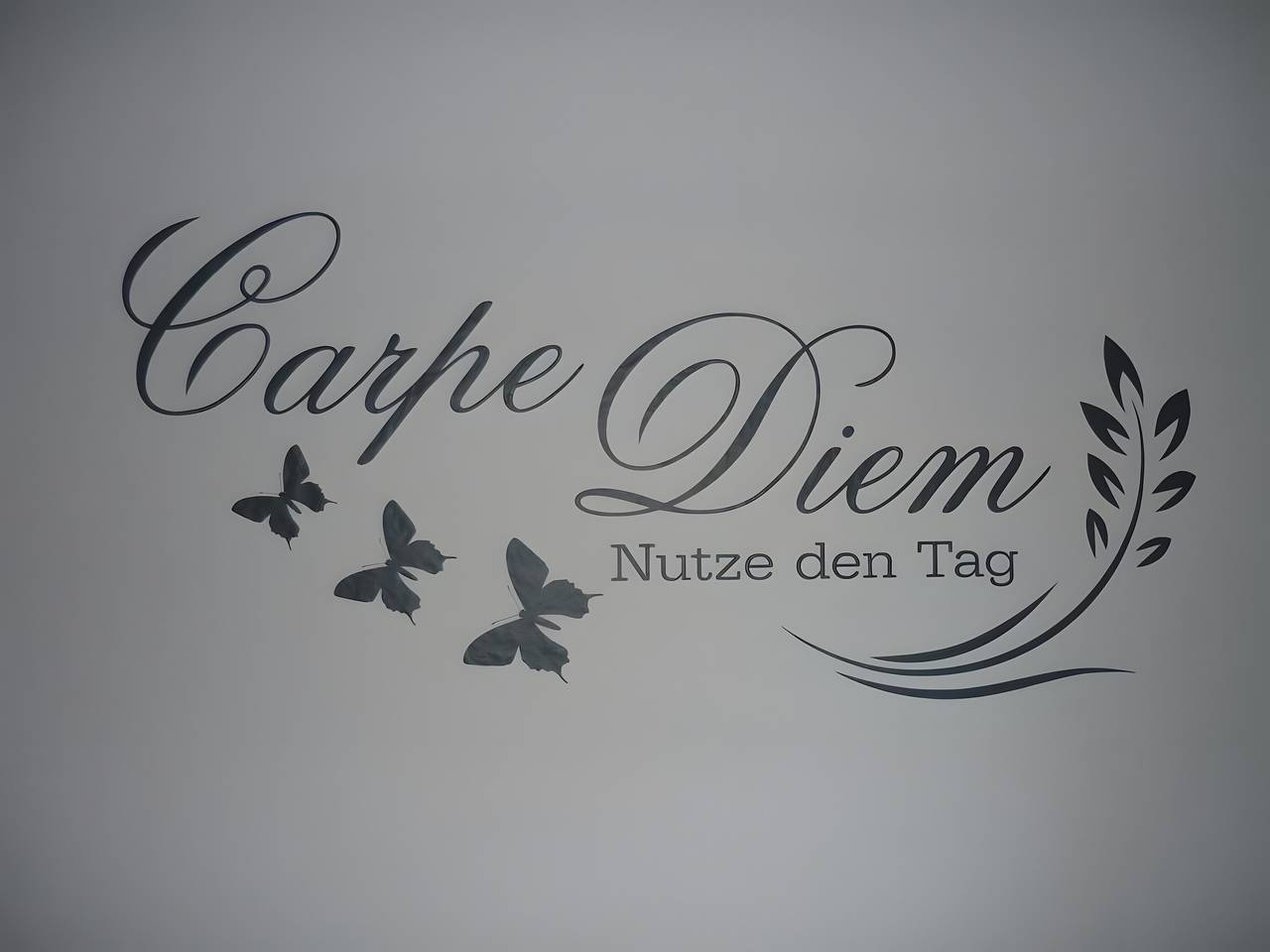 Ganze Wohnung, Ferienwohnung 'Carpe Diem' mit gemeinsamer Terrasse, Gemeinschaftsgarten und Wlan in Europa-Park, Rust