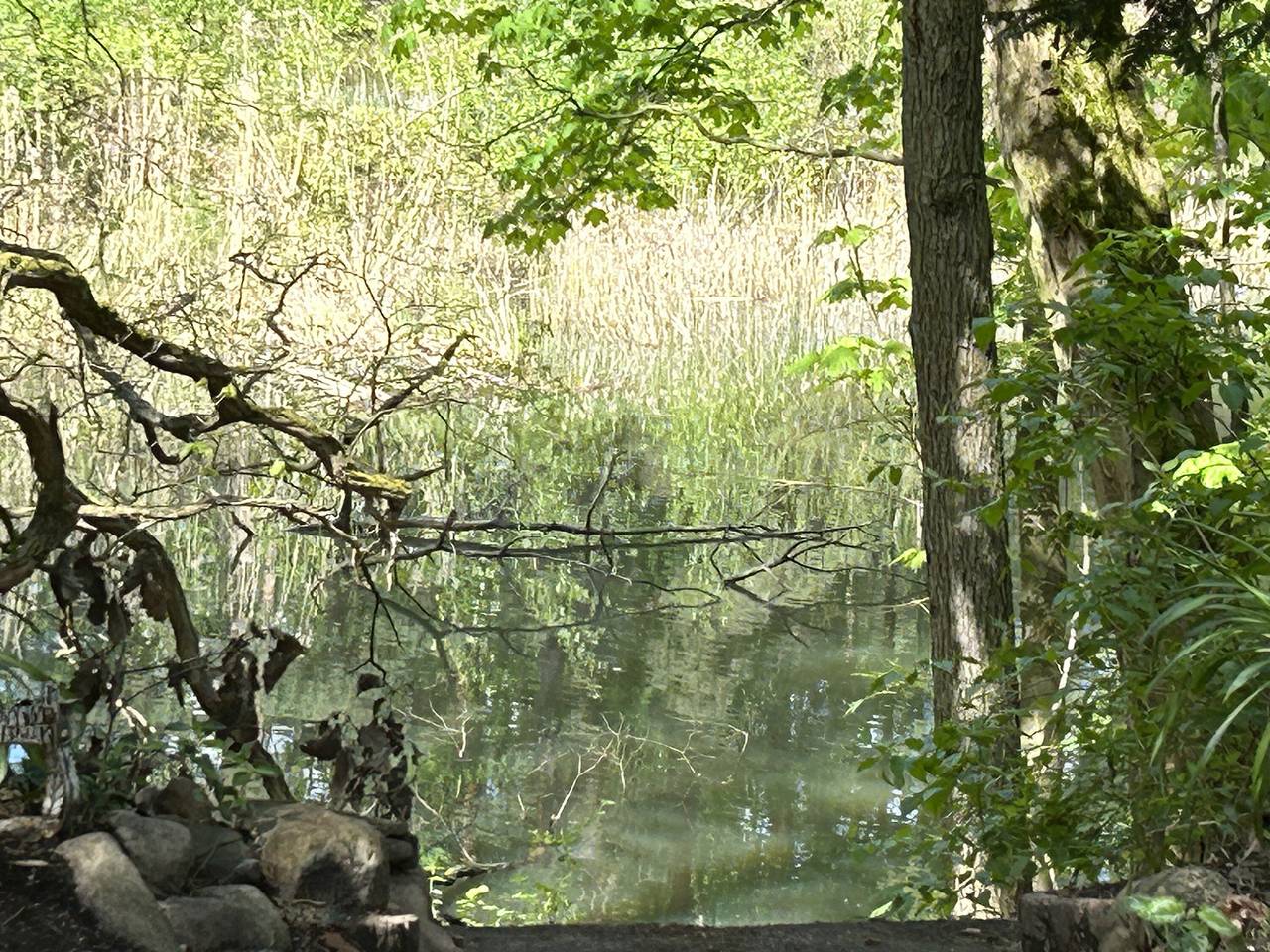 Bungalow 'im Wald am See - Biberspur' avec vue sur le lac et jardin. in Coswig (anhalt), Wittenberg (arrondissement)