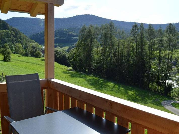 Ferienhaus für 4 Personen, mit Balkon und Garten in Nationalpark Schwarzwald - 4