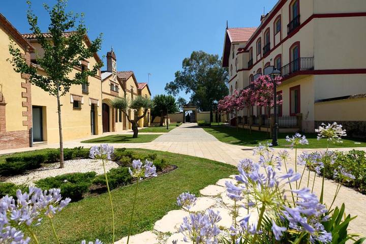 Hotel para 2 personas, con piscina además de jardín y vistas, Se admiten mascotas en Parque Nacional de Monfragüe - 4