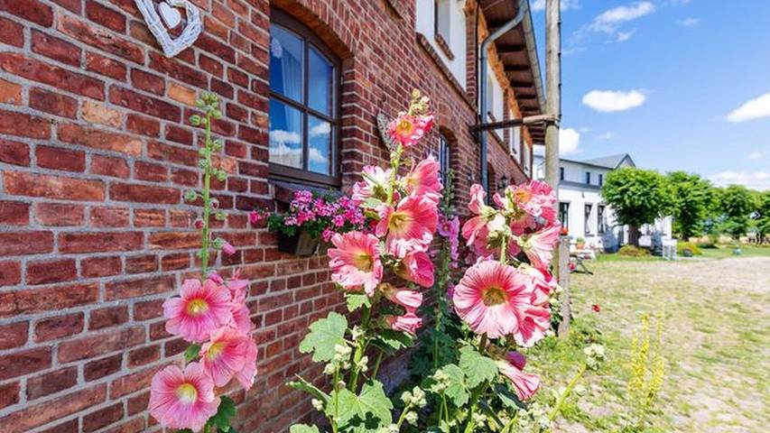 Ferienwohnung für 6 Personen, mit Garten und Terrasse sowie Ausblick - 1