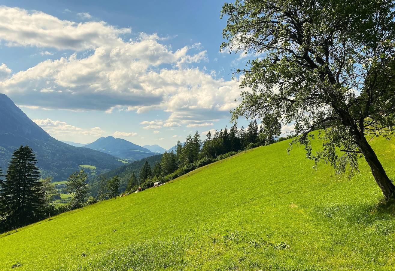 Ganze Ferienwohnung, Ferienwohnung für 6 Personen mit Garten in Spital am Pyhrn, Kirchdorf an der Krems (Bezirk)