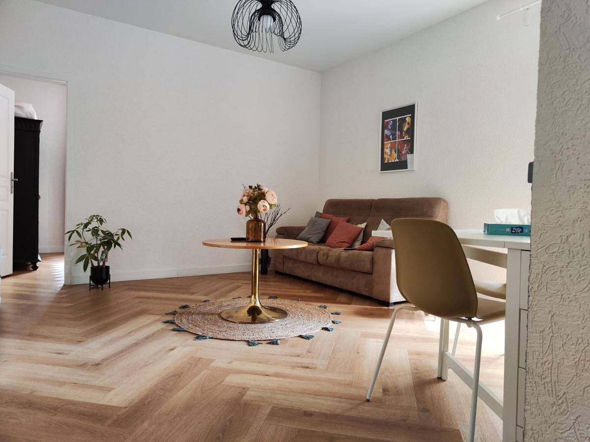 Appartement entier, Le Petit Angle Appartement 2 Pièces, plein centre ville, près de la gare jusqu'à 4 personnes in Valserhône, Nantua