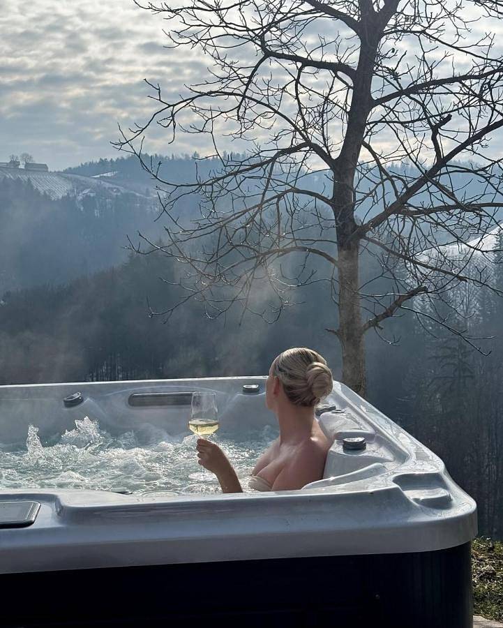 Das Kranach 28 Weinberg Hideaways mit Whirlpool und Sauna in Eichberg-Trautenburg, Steirerland