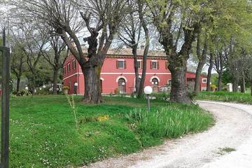 Agriturismo pour 9 personnes, avec jardin à Serrungarina
