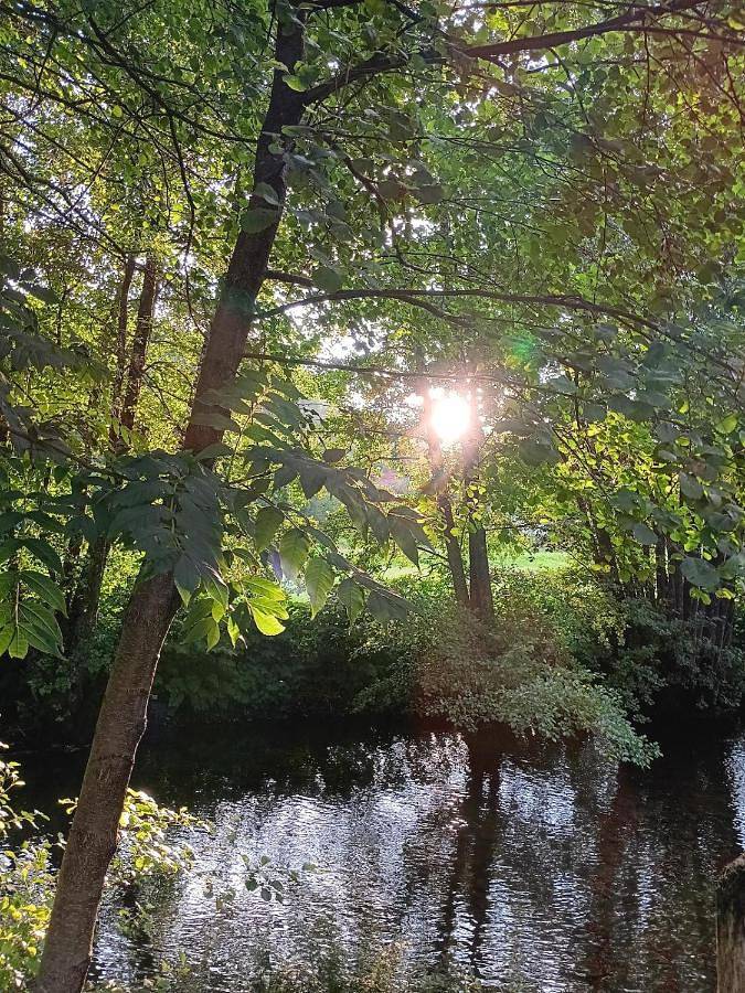 Gîte pour 5 personnes, avec vue et jardin à Kirchberg