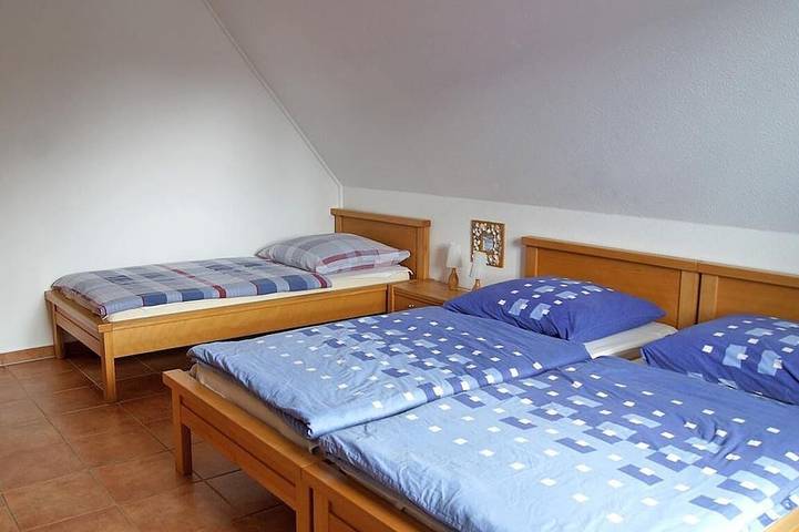 Ferienpark für 5 Personen, mit Terrasse und Garten, mit Haustier auf dem Darß - 4