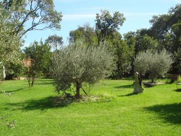 Natuurhuisje voor 2 Personen in Poggio-Mezzana, Haute-Corse, Afbeelding 2