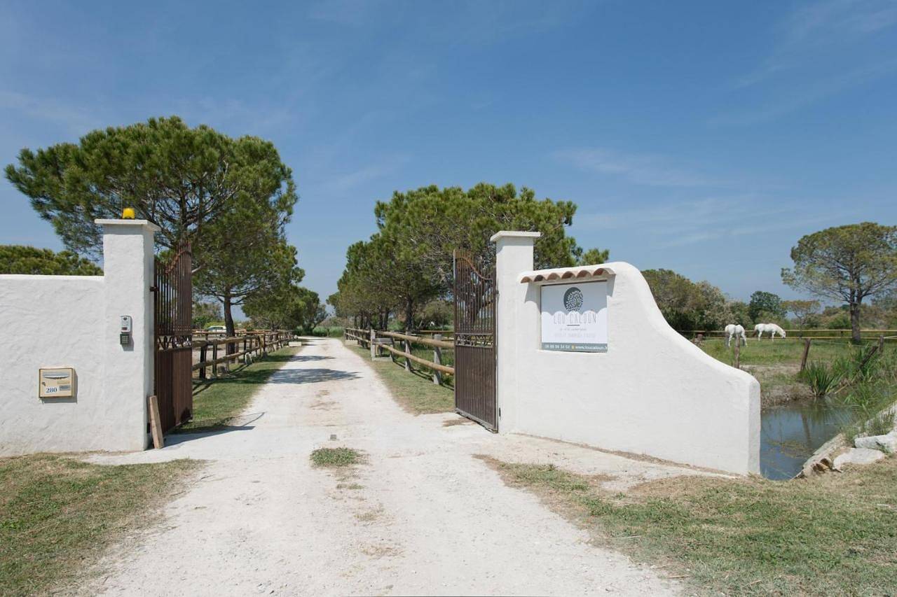 Mas Lou Caloun - Chambre d'Hôte face à la piscine en Camargue - Les Saintes Maries de la Mer in Saintes-Maries-de-la-Mer, Région d'Arles