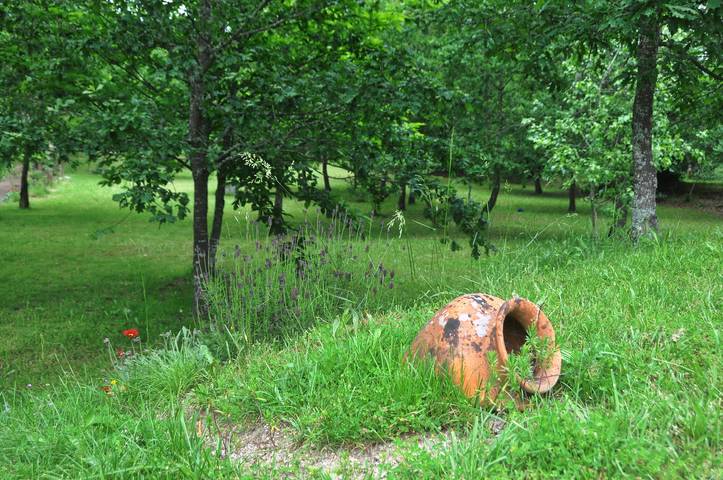 Alojamiento y desayuno para 3 personas, con vistas y jardín en Distrito de Viseu - 3