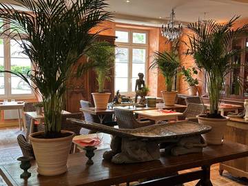 Hôtel pour 2 personnes, avec piscine et terrasse ainsi que jardin et vue à Sainte-Maure-de-Touraine