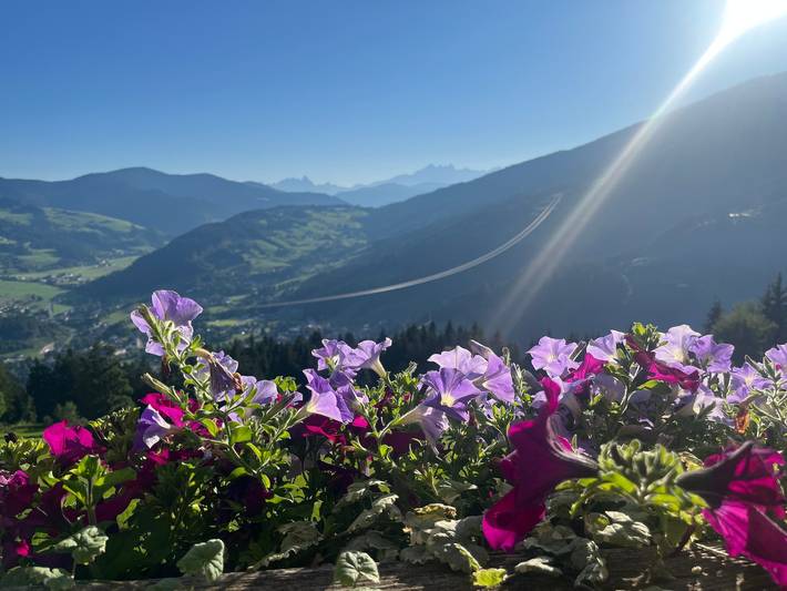 Ganze Wohnung, Ferienwohnung 'Almrausch' mit gemeinsamer Terrasse, Balkon und Wlan in Wagrain, Ski Amadé