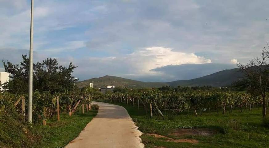 Chambre d’hôte pour 3 personnes, avec jardin et terrasse dans Međugorje - 4