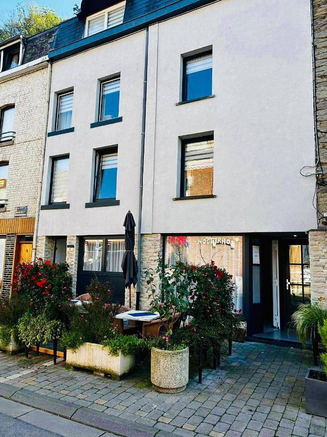 Maison d’hôte pour 2 personnes, avec terrasse et vue, animaux acceptés à La Roche-en-Ardenne - 3