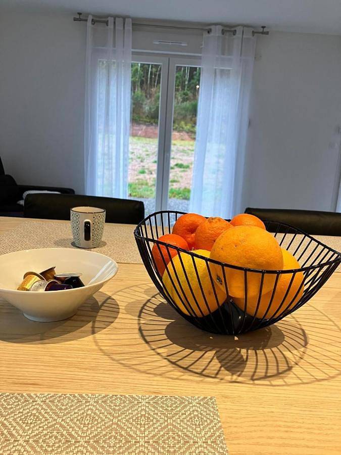 Location de vacances pour 8 personnes, avec terrasse à La Bourgonce - 3