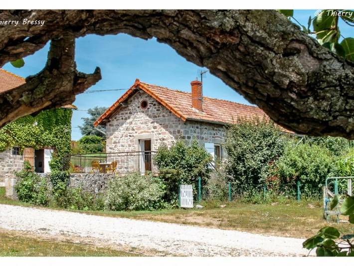 Gîte pour 5 personnes, avec jardin et piscine, animaux acceptés dans la Loire - 2