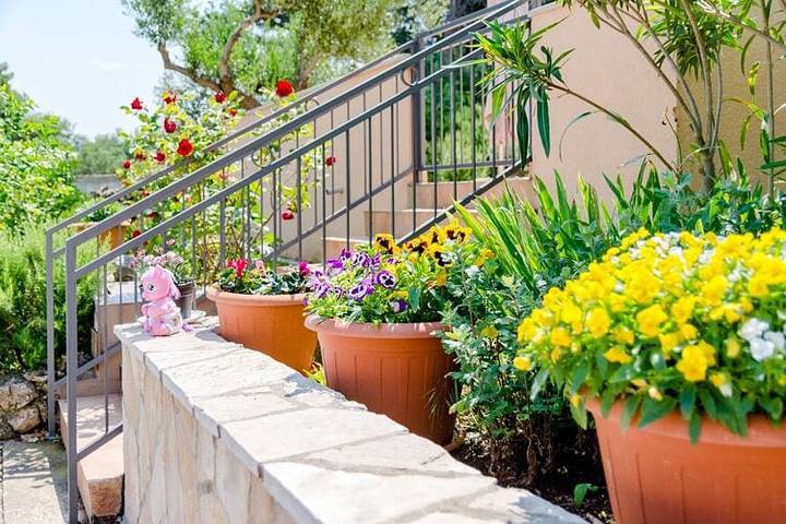 Ferieleilighet for 2 personer, med Terrasse i Supetar