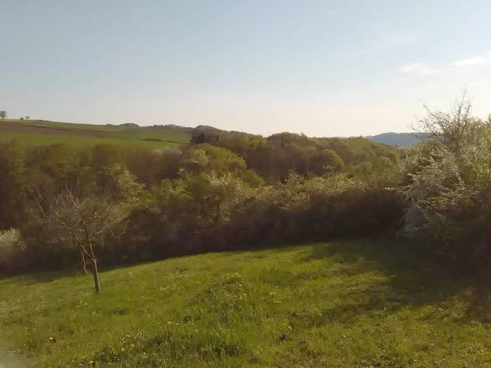 Gîte pour 3 personnes, avec vue et jardin à Ralingen - 2