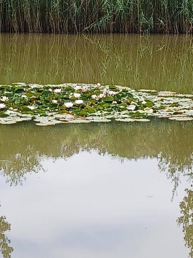 Charmante petite maison de campagne avec terrasse et jardin à 7min du zoo de la Flèche in Clefs-Val d'Anjou, Vallée de la Loire