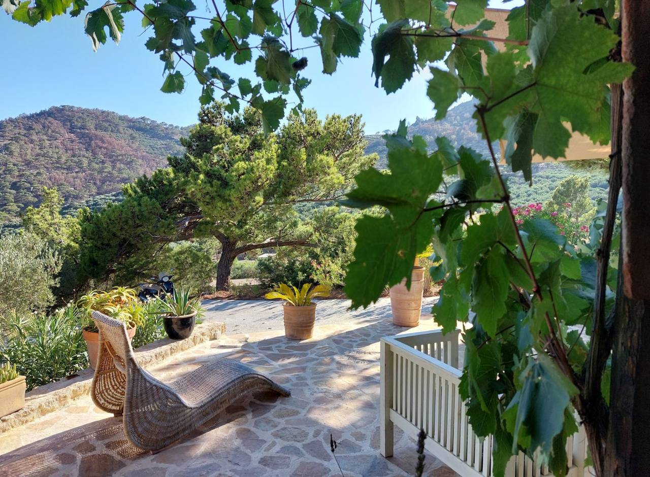 Maison en pierre - Kalyvitis au milieu d'oliveraie in Crète du Sud