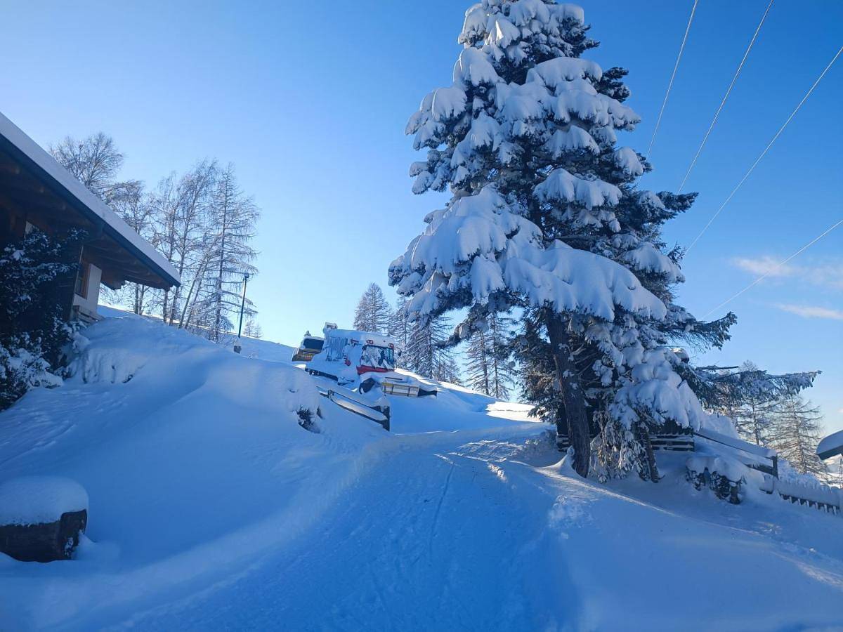 Ganze Wohnung, Apartment Hochkönigblick Pilzegg in Lend, Ski Amadé