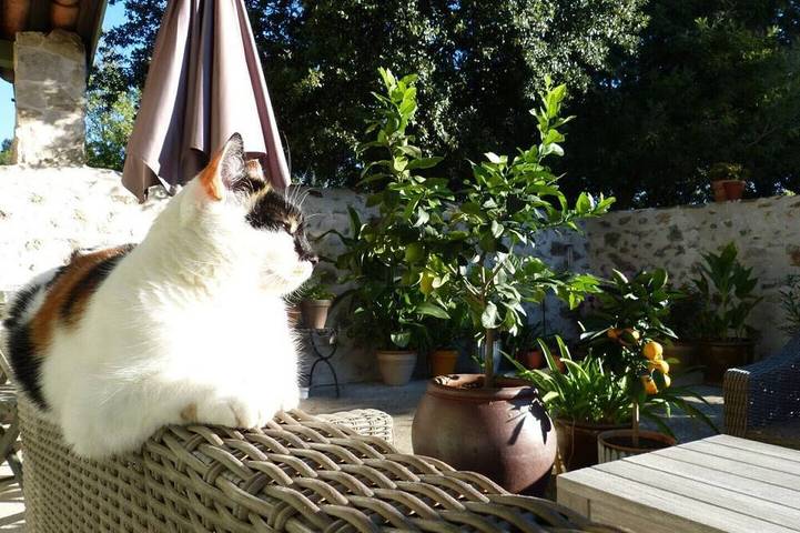 Gîte pour 2 personnes à Durban-Corbières - 4