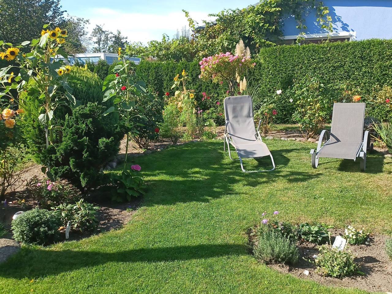 Ganze Ferienwohnung, Ferienwohnung Leitzsch  - Id 45053 - Ferienwohnung Leitzsch in Wustrow, Fischland