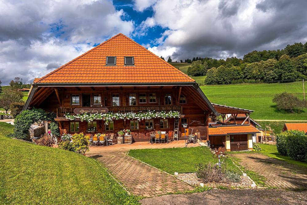 Ganze Wohnung, Doppelzimmer für 2 Gäste mit 16m² in Fröhnd in Schönau im Schwarzwald, Südschwarzwald