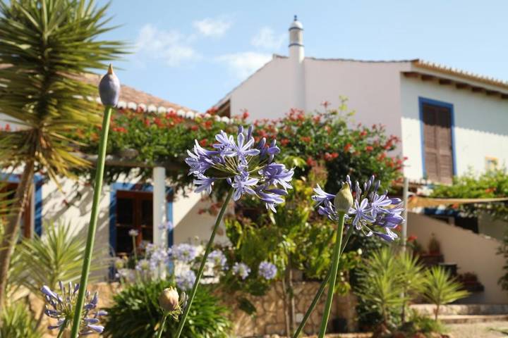Casa de huéspuedes para 2 personas, con vistas además de terraza y jardín en Silves - 4