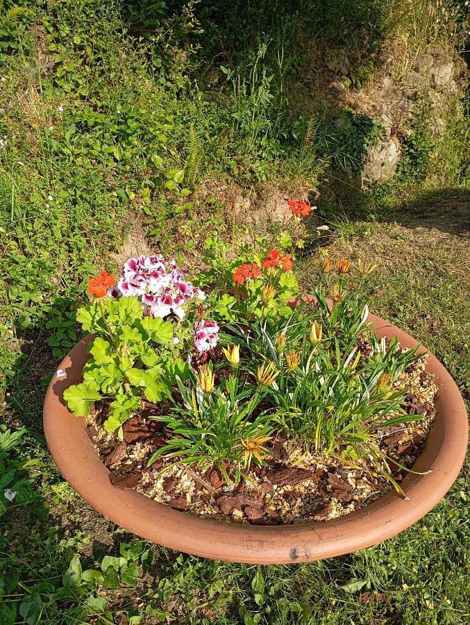 Location de vacances pour 2 personnes, avec jardin ainsi que vue et terrasse à Santo-Pietro-di-Venaco - 3