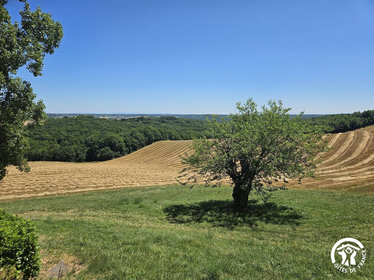 Montgach in Castelnau-de-Montmiral, Albi und Umgebung