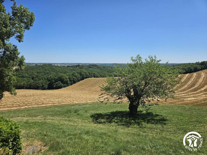 Gîte pour 6 personnes, avec terrasse, animaux acceptés dans Forêt domaniale de Grésigne - 2