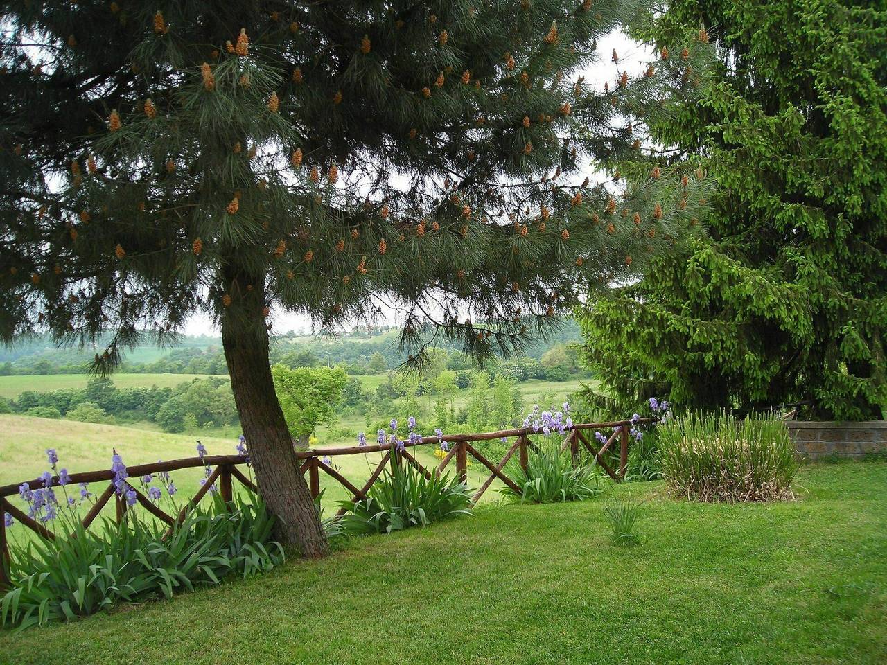 Ginestrella in Orvieto, Provincia de Terni