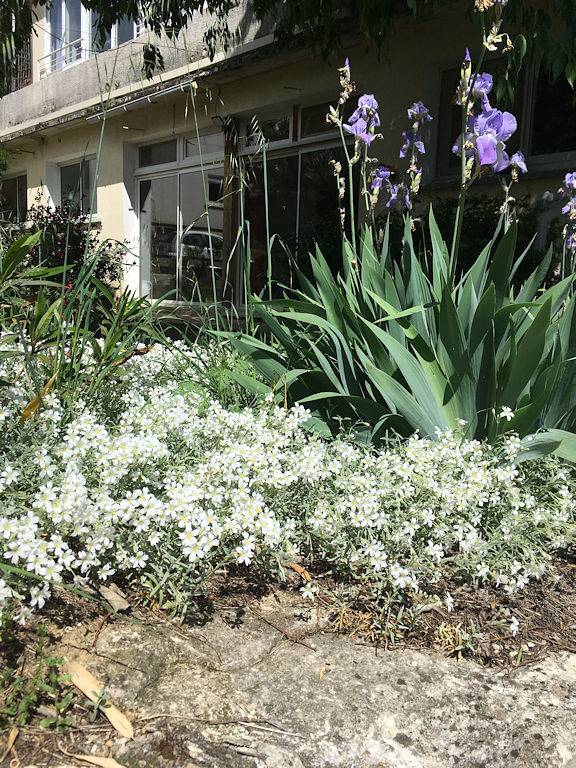 Gîte pour 4 personnes avec jacuzzi in Goudargues, Région de Nîmes