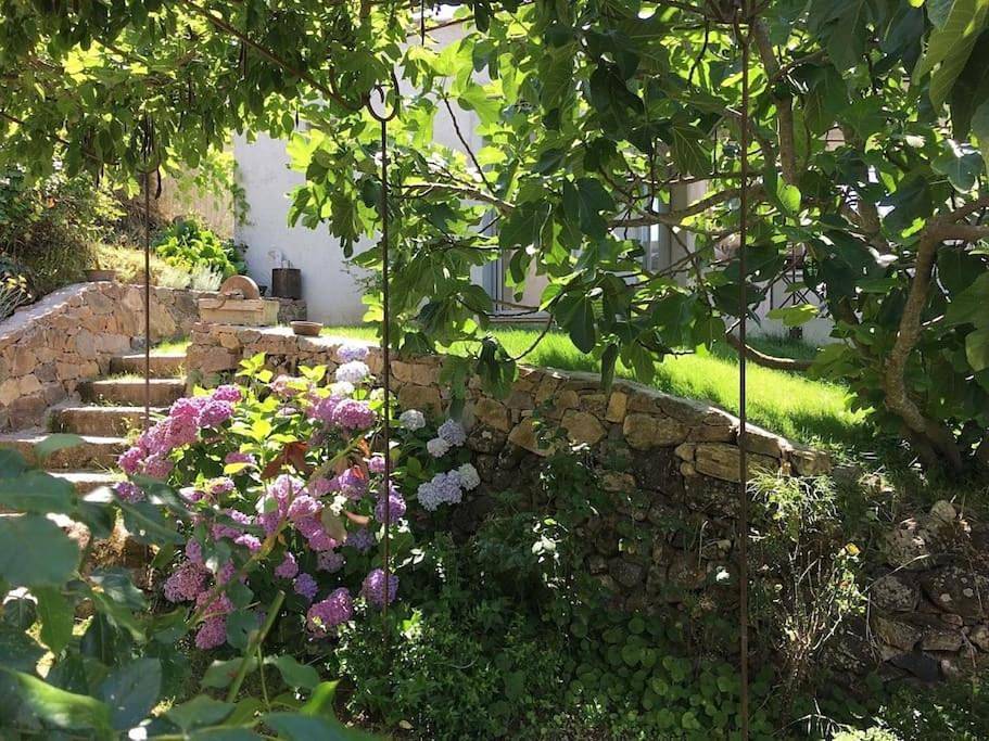Two-Bedroom House in Bardiana, Manso (homonymie)