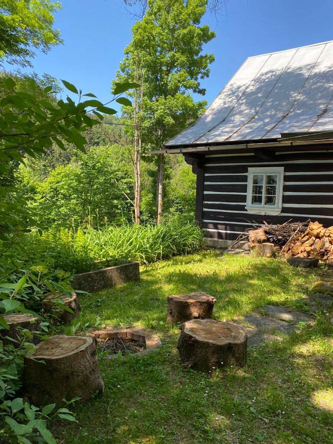 Apartament wakacyjny dla 11 osób, z ogród i widok w Rokytnice nad Jizerou