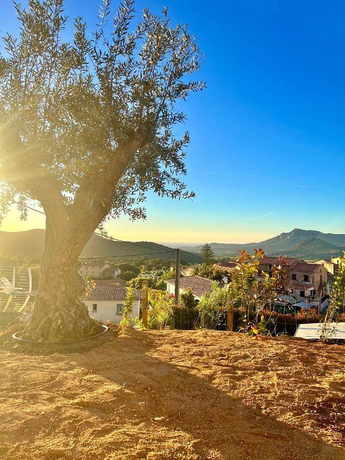 Pension voor 2 personen, met tuin en uitzicht op Corsica