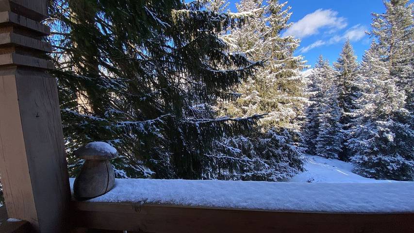 Ferienhaus für 5 Personen, mit Terrasse und Garten sowie Ausblick im Salzburger Land - 3