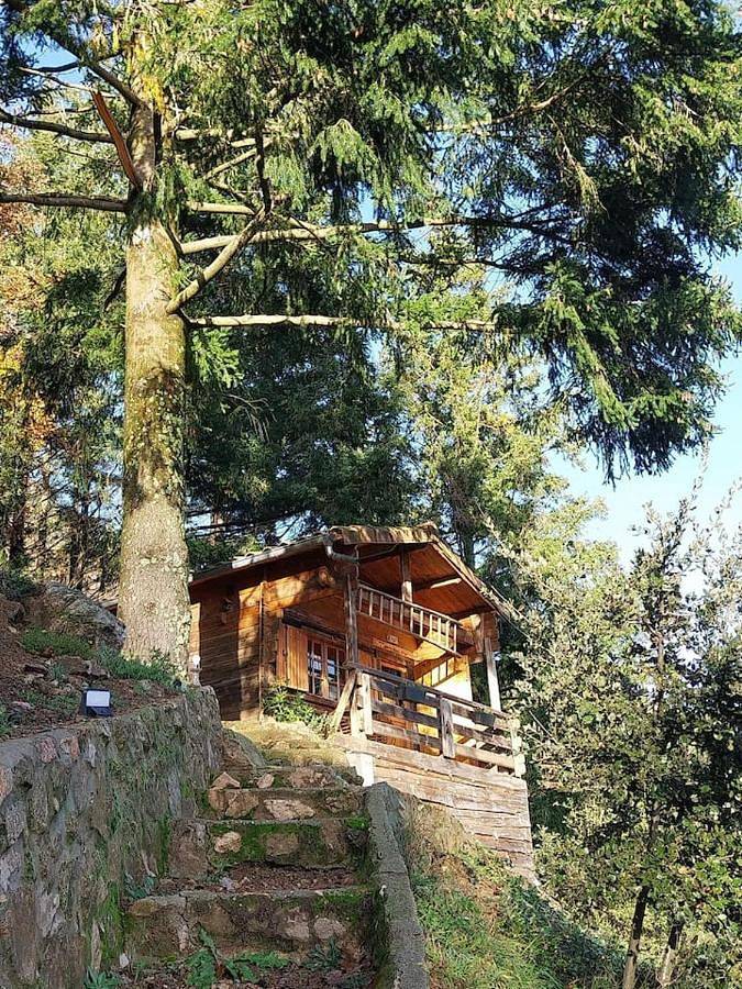 Location de vacances pour 2 personnes, avec terrasse ainsi que jardin et vue à Saint-Sauveur-de-Montagut - 2