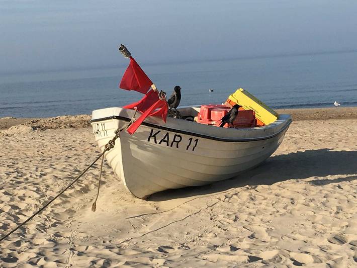 Ferienhaus für 5 Personen, mit Garten in Karlshagen - 2