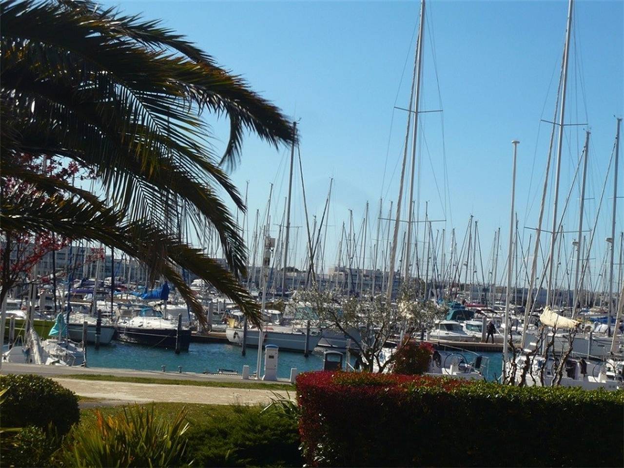 Estudio entero, Hermoso apartamento con terraza para 4 personas, cerca de la playa en Port Camargue in Port Camargue, Le Grau-du-Roi